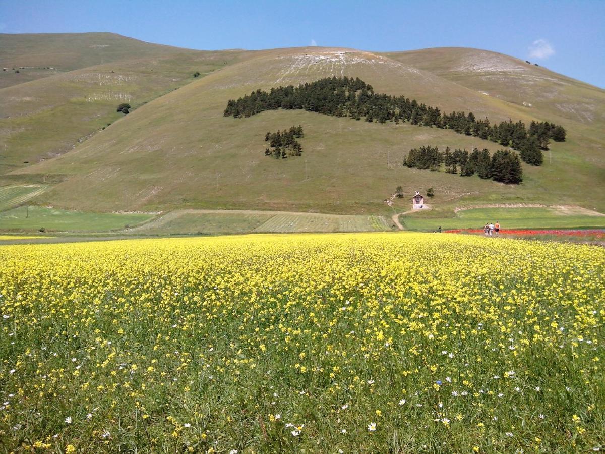 B&B Nonna Rosa Norcia Buitenkant foto