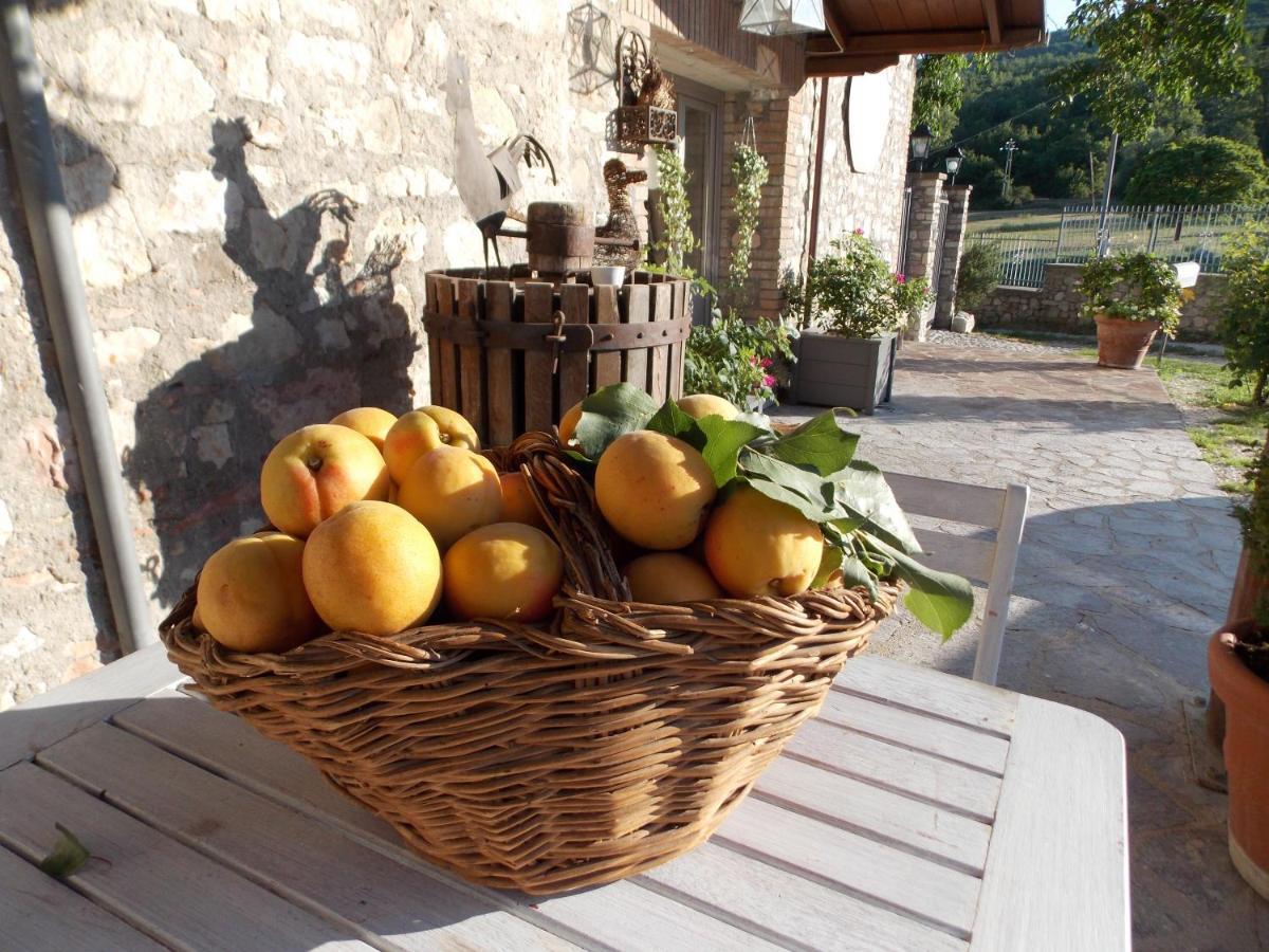 B&B Nonna Rosa Norcia Buitenkant foto