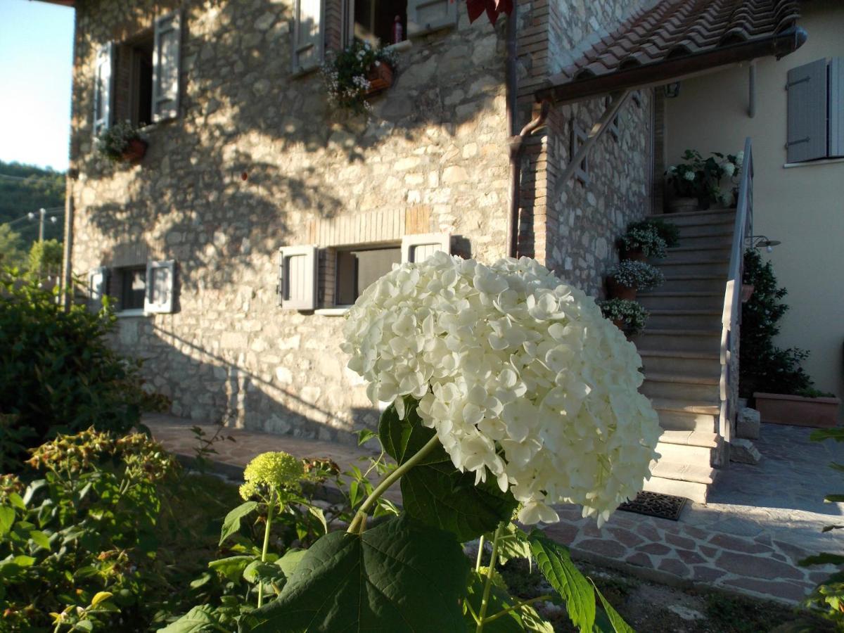 B&B Nonna Rosa Norcia Buitenkant foto